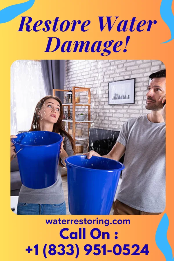 water restoration Expert Water Damage & Associates Warba
