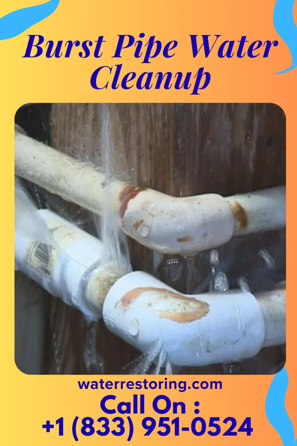 Burst Pipe Water Cleanup in Warba, MN