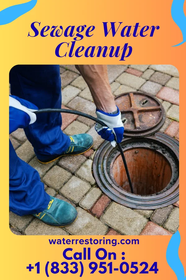 Sewage Water Cleanup in Warba, MN